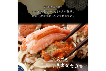 訳あり☆蟹の宝石箱☆ セイコガニ甲羅盛 小サイズ 5個 蟹