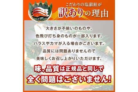 鮭 サーモン 訳あり 厚切り 塩銀鮭切身 約2kg 冷凍 不揃いですが お手軽！絶品！事業者応援