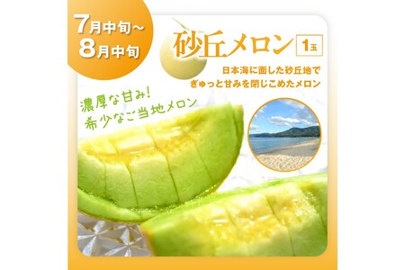 【先行予約/フルーツ定期便4回】旬の果物厳選!京丹後フルーツ王国セット(完熟イチゴ・メロン・シャインマスカット・二十世紀梨)(2026年4月上旬~発送)