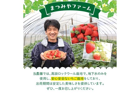 【先行予約／数量限定200】【特選】京都・まつみやファームの大粒いちご（あきひめイチゴ）15～20粒（2026年2月上旬～発送） いちご農家直送の苺・大粒イチゴ・京都産いちご・イチゴ