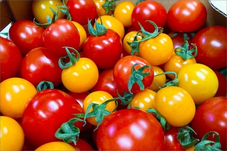 【野菜】京都 野菜秋冬セット 5品