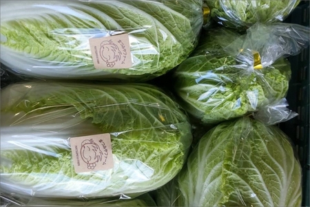 【野菜】京都 野菜秋冬セット 5品