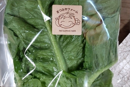 【野菜】京都 野菜秋冬セット 5品