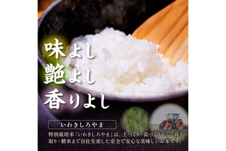 Amazon.co.jp: 特別栽培米 ミルキークィーン 白米 10kg(5kg