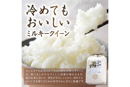 京都丹後産ミルキークイーン特別栽培米 いわきしろやま 10kg