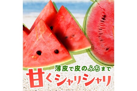 【先行予約／数量限定200】にしまるスイカ 秀品 1玉入り（露地栽培）（2026年7月中旬から発送）