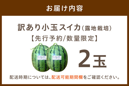 【先行予約／数量限定200】にしまるスイカ 訳あり 2玉入り（露地栽培）（2026年7月中旬から発送）