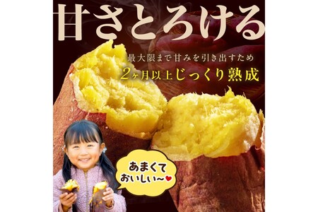 日本一の京都産「紅はるか」3kg（サツマイモ　野菜　スイーツ　お菓子　焼き芋　さつまいも）
