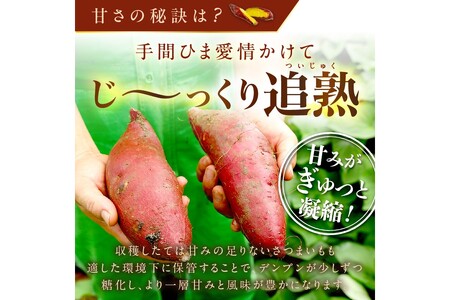 日本一の京都産「紅はるか」3kg（サツマイモ　野菜　スイーツ　お菓子　焼き芋　さつまいも）