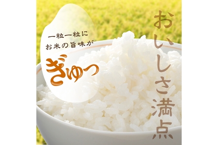 2025年産 京都・久美浜産 特別栽培米コシヒカリ 1.5kg×2袋