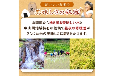 2025年産 京都・久美浜産 特別栽培米コシヒカリ 1.5kg×2袋