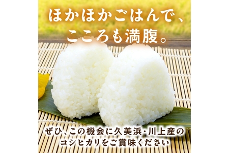 2025年産 京都・久美浜産 特別栽培米コシヒカリ 1.5kg×2袋