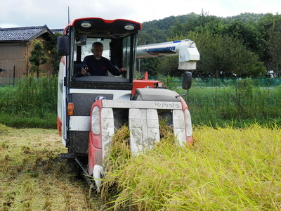 京都・丹後羽衣天女米（特別栽培米コシヒカリ） 玄米 20kg