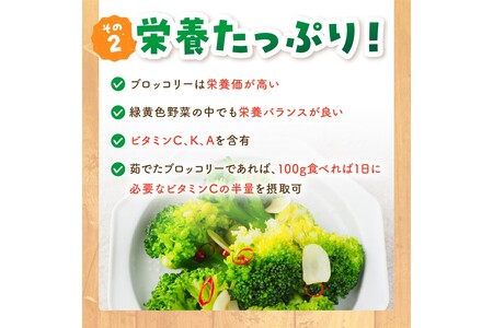 ブロッコリー 約2kg 農家直送ブロッコリー 2025年11月～ 