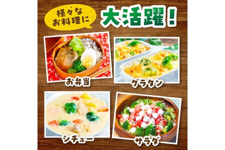 ブロッコリー 約2kg 農家直送ブロッコリー 2025年11月～ 