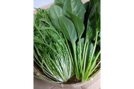 【野菜】京都 冬鍋野菜セット 4種