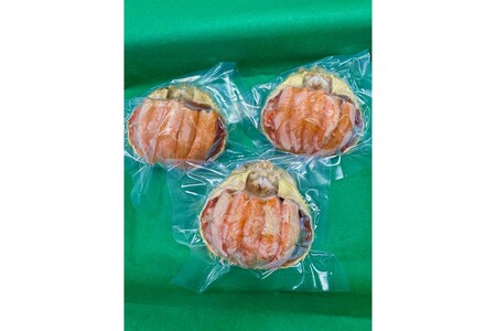 セイコガニ甲羅盛Mサイズ 3個セット カニ かに