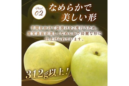 【先行予約／数量限定100】京のブランド産品・京たんご梨（20世紀梨） 5kg（2025年9月上旬～発送）