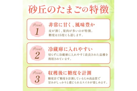 小玉スイカ 砂丘のたまご 1玉 26年6月～ スイカ