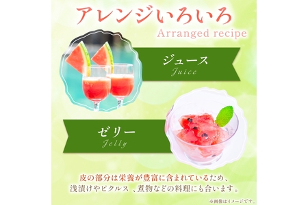 小玉スイカ 砂丘のたまご 1玉 26年6月～ スイカ