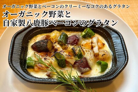 オーガニック野菜と丹後・近畿北部のブランド肉を取り揃えた、豪華洋風パーティーセット（3～5人前）