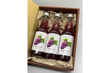 京丹後のぶどう炭酸ジュース(ソーダ) 小瓶3本入り(2025年9月下旬~発送)