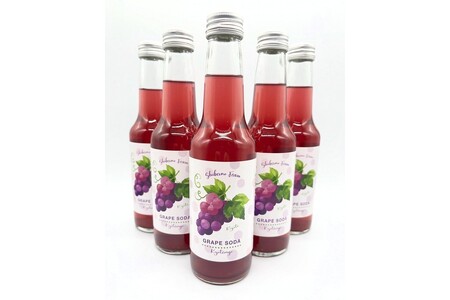 京丹後のぶどう炭酸ジュース（ソーダ） 小瓶5本入り（2025年9月下旬～発送）