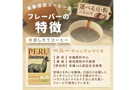 コーヒー豆 ペルーチャンチャマイヨ 500g  | コーヒー豆