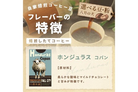 【コーヒー豆】 ホンジュラスコパン 500g コーヒー豆