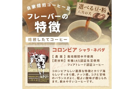 【コーヒー豆】 コロンビア シエラネバダ 500g コーヒー豆