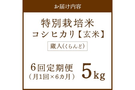 【定期便6回】令和8年産 特別栽培米コシヒカリ 蔵人（くらんど） 玄米5kg