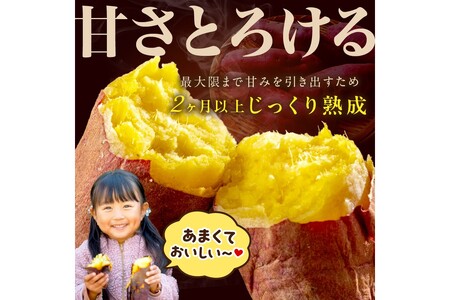 さつまいもオブザイヤー2部門で全国1位のさつまいも農家がつくるサツマイモ3種食べ比べセット（紅はるか・ふくむらさき・栗かぐや）計約5kg