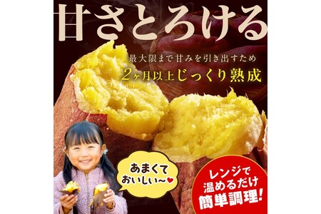 【先行予約】日本一のさつまいも「紅はるか」 冷凍焼き芋1kg(4~7本程度)(2026年2月中旬~発送)