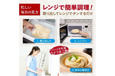 【もちもち】冷凍うどん10玉入（濃縮出汁付き）_KI00035_うどん