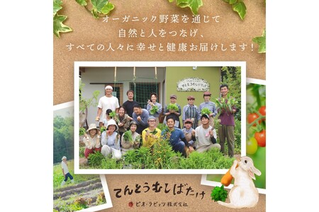 季節のオーガニック野菜ドレッシング2本セット