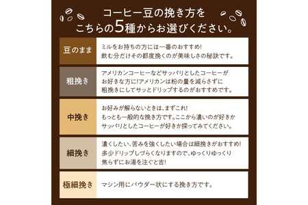 【アイスコーヒー用】 コーヒー豆 500g コーヒー豆