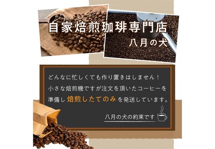 【アイスコーヒー用】 コーヒー豆 500g コーヒー豆