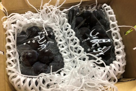 【先行予約】訳あり黒ぶどう2房入（1kg以上）（2026年8月上旬～発送）