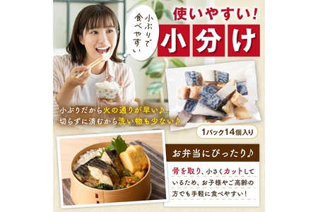 訳あり 塩サバ 骨取り 28切れ | 鯖