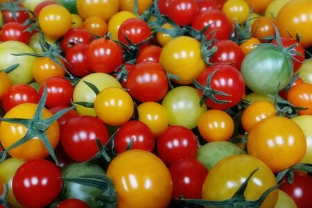 【フルーツ・野菜】農家直送セット 5種【5回定期便】