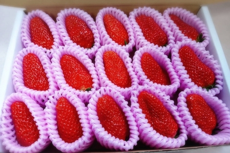 【野菜】旬野菜3回定期便｜さつまいもコーンいちご