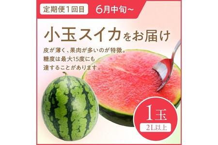 【先行予約】道の駅がおすすめする夏のフルーツ定期便～すいか・メロン～