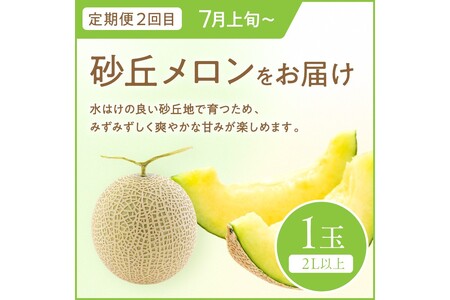 【先行予約】道の駅がおすすめする夏のフルーツ定期便～すいか・メロン～