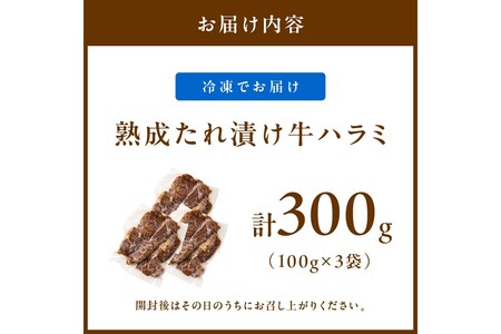 たれ漬けハラミ 1パック100ｇ×3袋