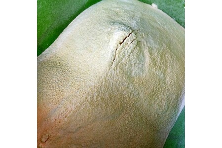 学校給食などの天ぷら油が大変身！地球に優しいエコなEM菌入石けん 海の京都 京丹後からお届け/粉石けん200g×4本＋固形石鹸5個