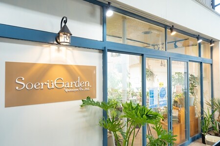 季節の観葉植物5点セット（2号鉢）｜【発送可能時期：4月上旬～7月末、9月上旬～11月末】