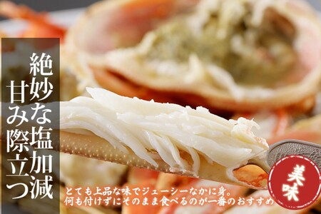 【訳あり！指落ち松葉がに】山陰沖ゆで松葉がに 900ｇ～1ｋｇ 特大サイズ（1月～3月発送）／北畿水産