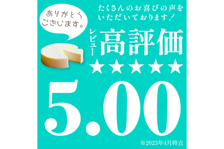 レアチーズケーキ 1個 ケーキ デザート スイーツ