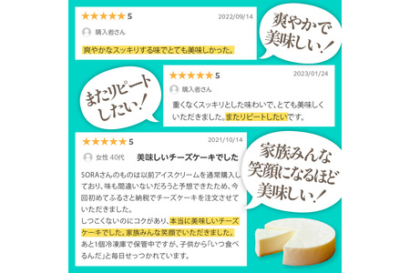 レアチーズケーキ 1個 ケーキ デザート スイーツ