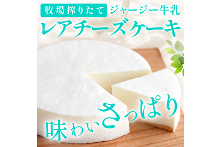 レアチーズケーキ 1個 ケーキ デザート スイーツ